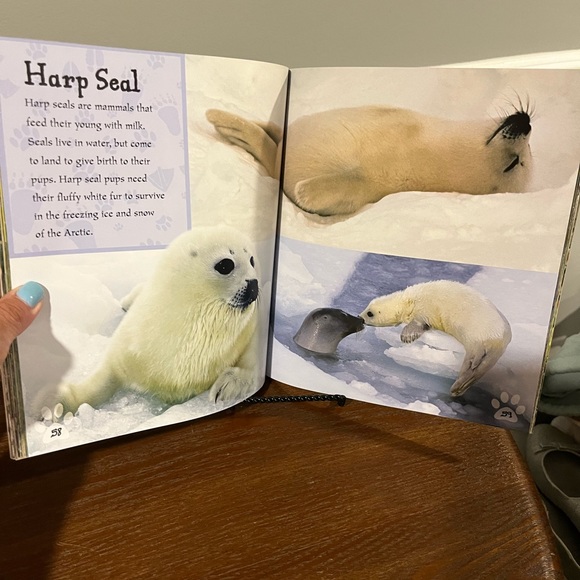 I Love Baby Animals Book Over 50 Cuties! NWT - Picture 2 of 4